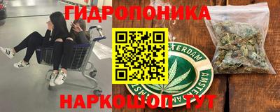 прущие грибы Боровичи