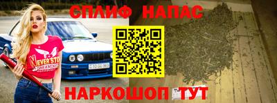 прущие грибы Боровичи