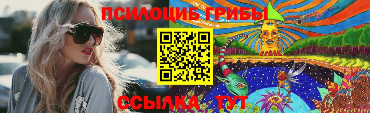 Псилоцибиновые грибы мицелий  Галлюциногенные грибы мицелий  Владивосток  Вход с VPN 